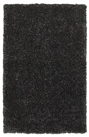 8X10 DARK CHARCOAL SHAG RUG