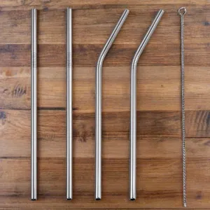 Fitz & Willow, Eco Friendly Stainless Steel Reusable Straw