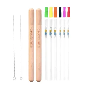 Glass Drinking Straw Set