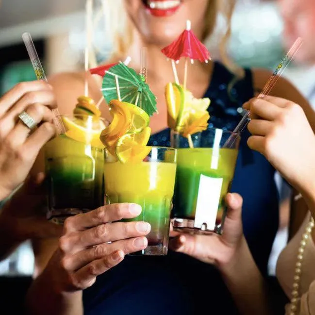 Glass Drinking Straw Set