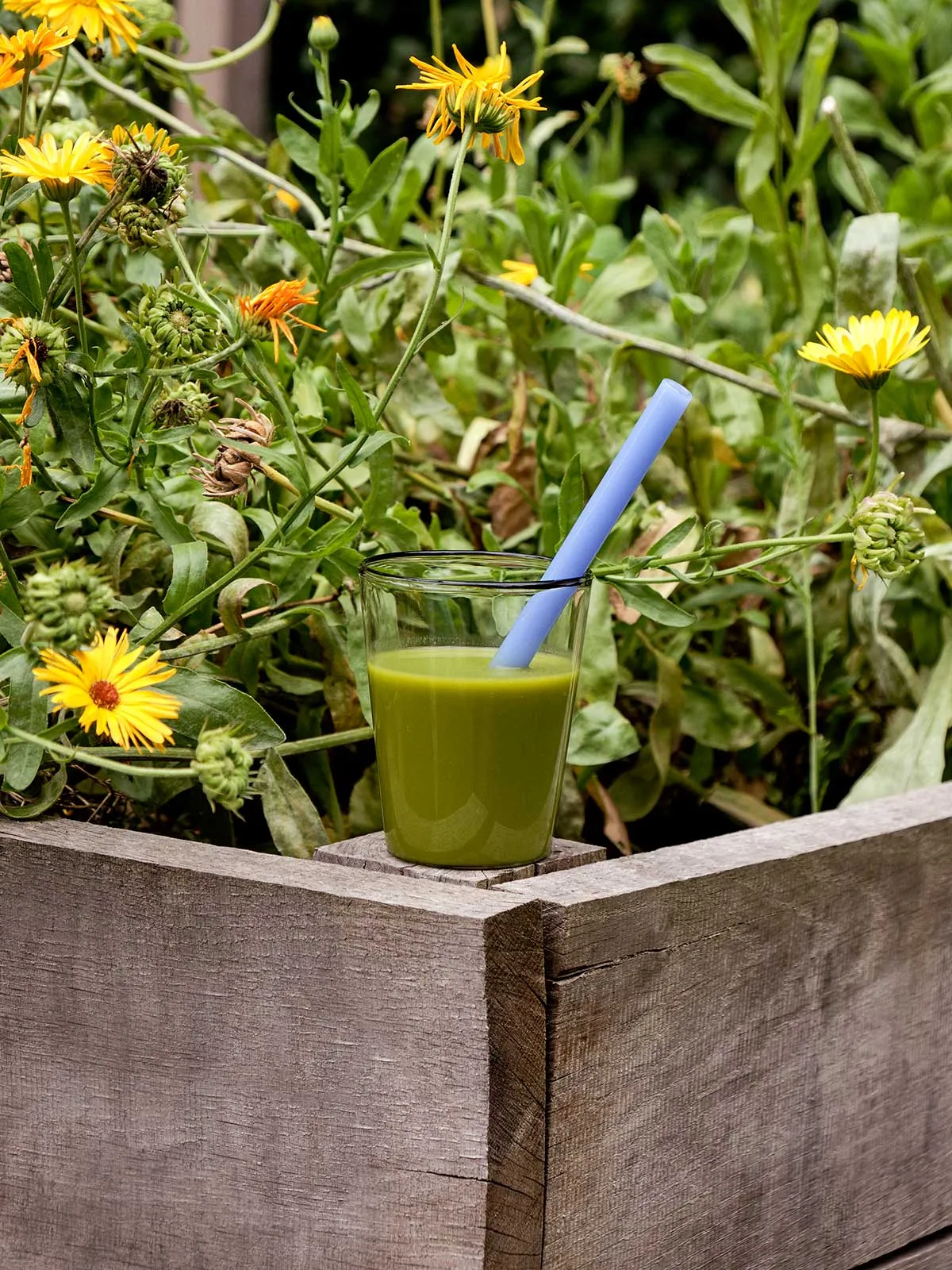 HAY Sip Glass Smoothie Straws – Opaque Mix