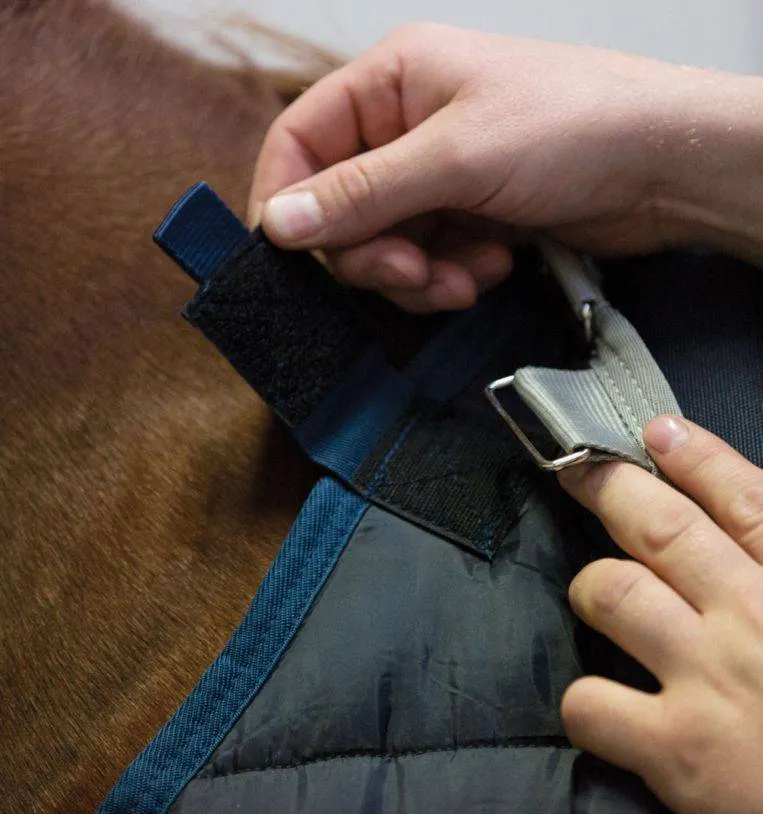 Horseware Liner - 200g