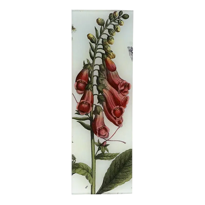 John Derian 'Foxglove' 4.5 x 12" Rectangle Tray