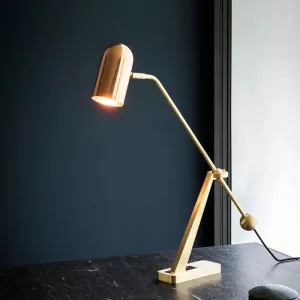 Modern Brass Tubular Reading Book Light for Study Tasks - 1 Bulb Task Lighting