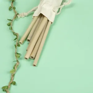 ONEarth Bamboo Straws with Cleaner - Pack of 2