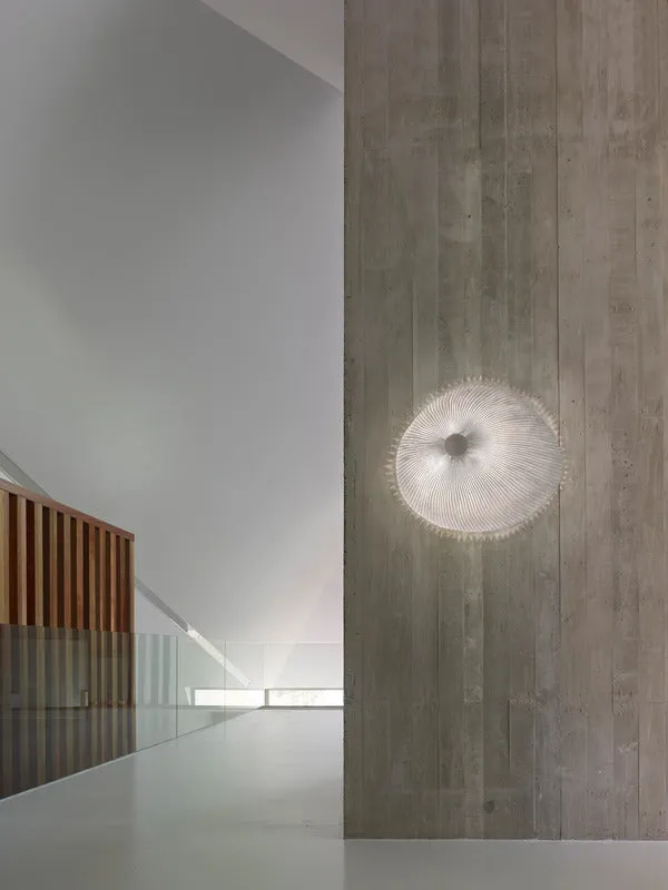 Onn Ceiling / Wall Light