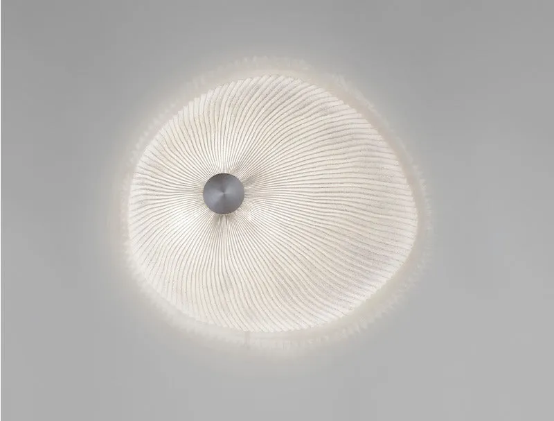 Onn Ceiling / Wall Light