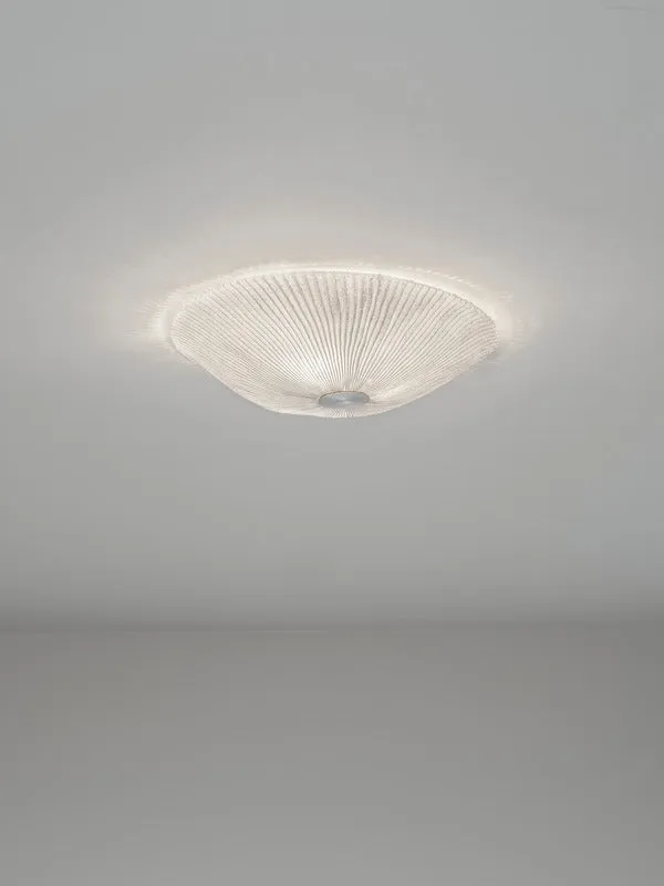 Onn Ceiling / Wall Light
