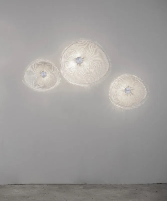 Onn Ceiling / Wall Light