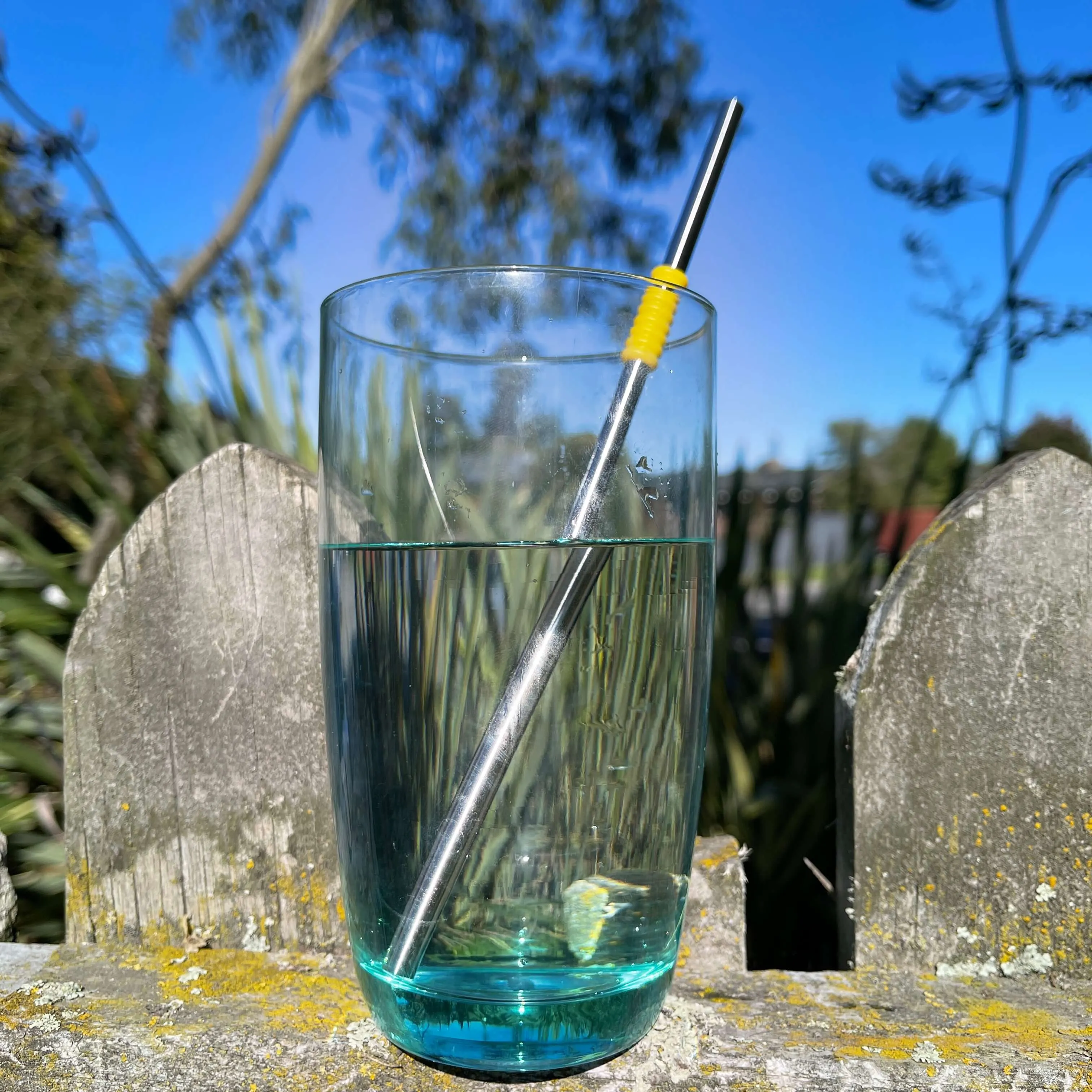 Reusable Straws