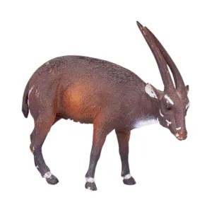 Saola