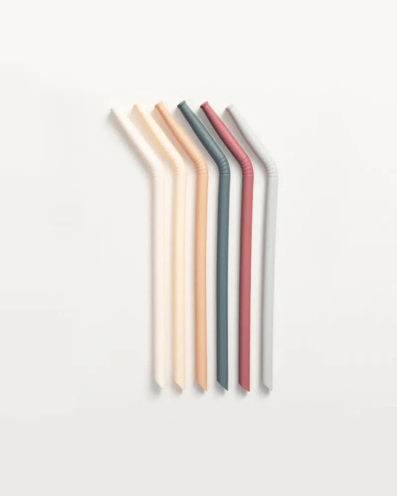 Silicone straw set pack of 6 - Oak multi mix - Canada Stock