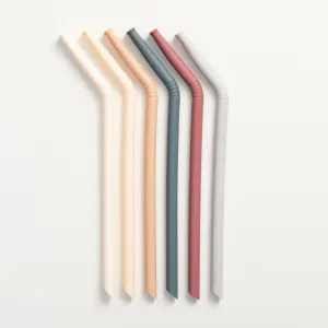Silicone straw set pack of 6 - Oak multi mix - Canada Stock