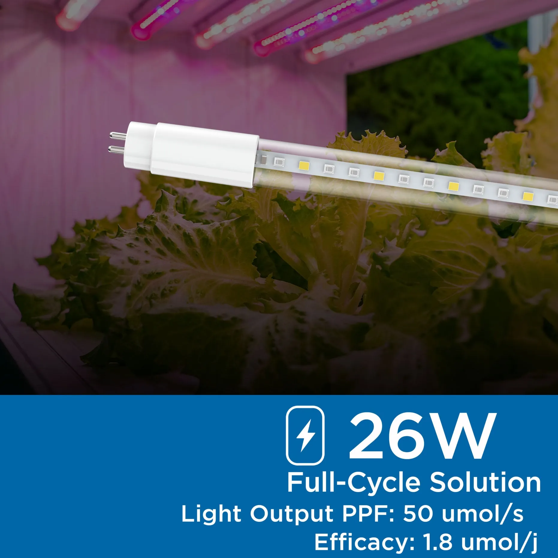 Virigrow 4-Foot T5 Type-A Double-Ended LED Grow Bulb Tube