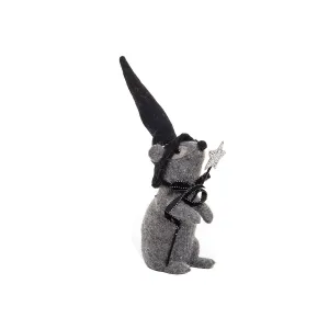 Wooly Mouse Witch Figurine